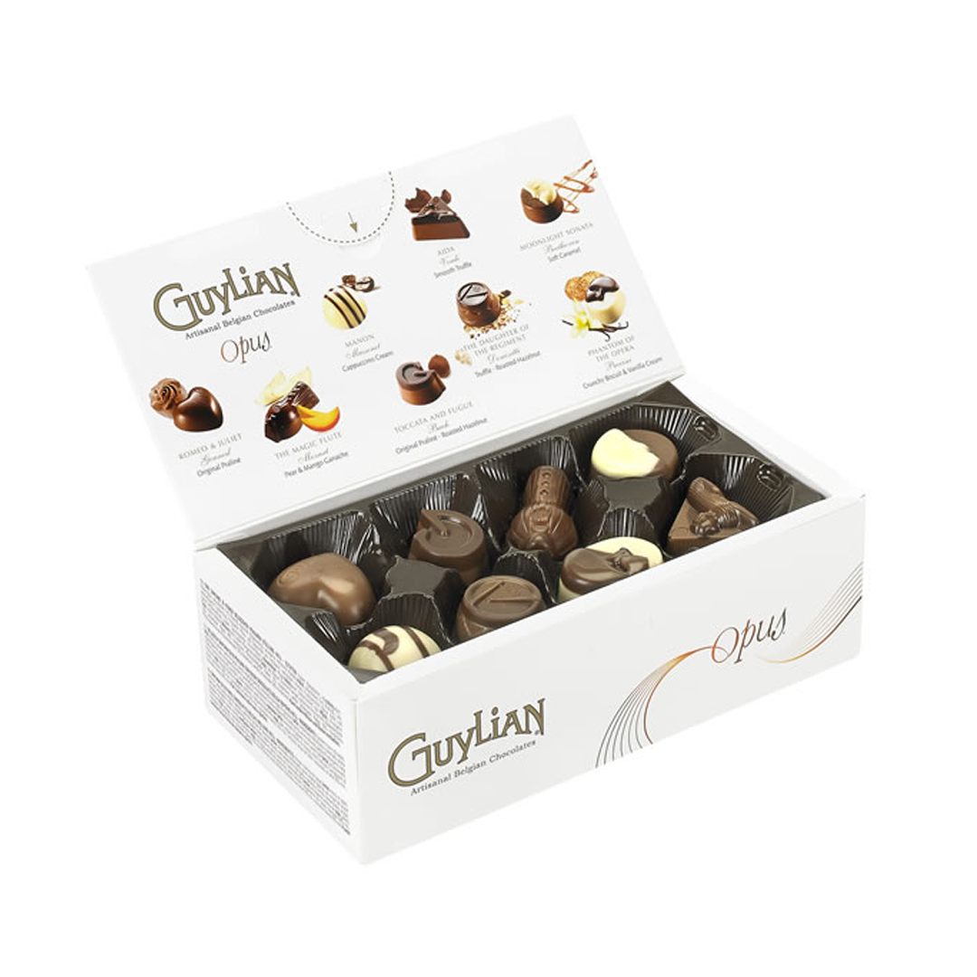 GUYLIAN BELGIAN CHOCOLATES OPUS LUXURY ASSORTMENT GIFT BOX